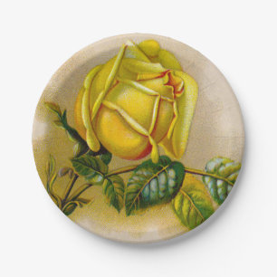 Gelbe Rose Antik Vintage-Druck Fine Art Pappteller