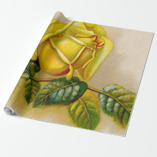 Gelbe Rose Antike Vintage Druckkunst Geschenkpapier