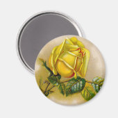 Gelbe Rose Antike Vintage Druckkunst Magnet (Vorderseite/Rückseite)
