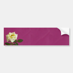 Gelbe Rose auf rosa Hintergrund Autoaufkleber