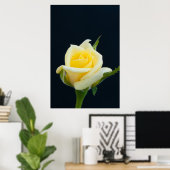 Gelbe Rose auf schwarzem Hintergrund Poster (Heimbüro)