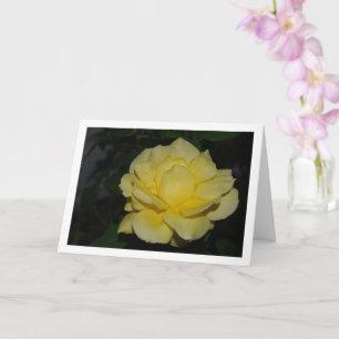 Gelbe Rose bei Nacht Portrait Karte