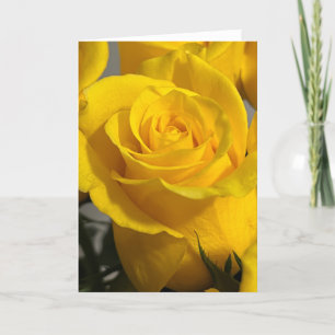 Gelbe Rose - Blankenkarte Dankeskarte