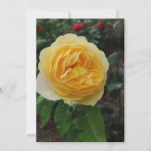 Gelbe Rose-Blume Einladung (Rückseite)