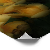 Gelbe Rose Blume Naturkunstmuster Poster (Ecke)