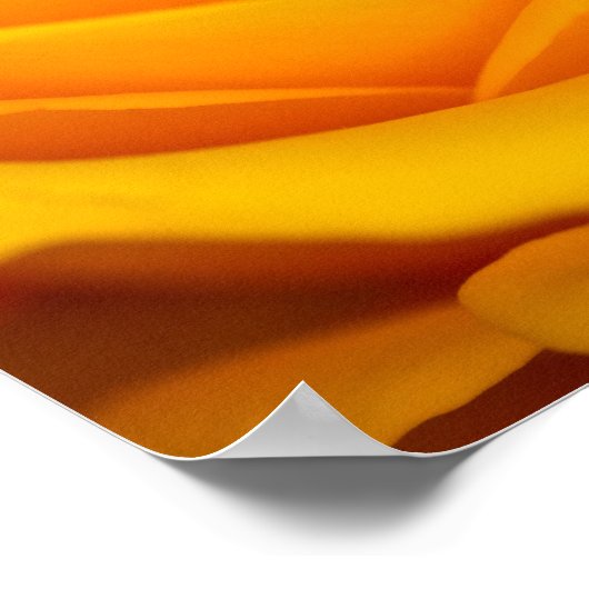 Gelbe Rose Blume Poster (Ecke)