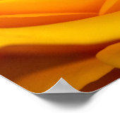 Gelbe Rose Blume Poster (Ecke)