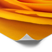 Gelbe Rose Blume Poster (Ecke)
