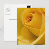 Gelbe Rose-Blume Postkarte (Vorne/Hinten)