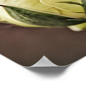 Gelbe Rose Bud Fotografien Print Poster (Ecke)