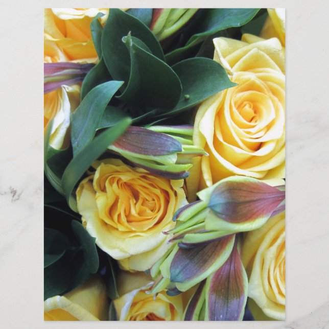 Gelbe Rose Buds (Vorderseite)