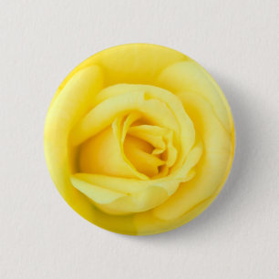 Gelbe Rose Button