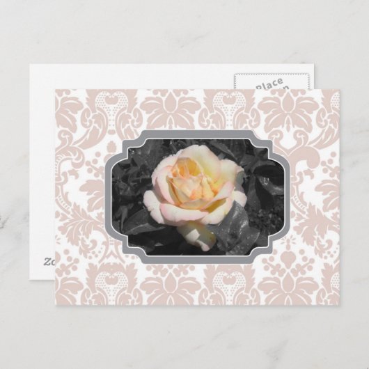 Gelbe Rose Damask Notecard Postkarte (Vorne/Hinten)