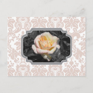Gelbe Rose Damask Notecard Postkarte
