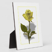 Gelbe Rose der Freundschaft Fotoplatte (Seite)