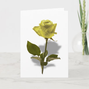 Gelbe Rose der Freundschaft Karte