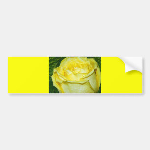Gelbe Rose der Liebe_ Autoaufkleber
