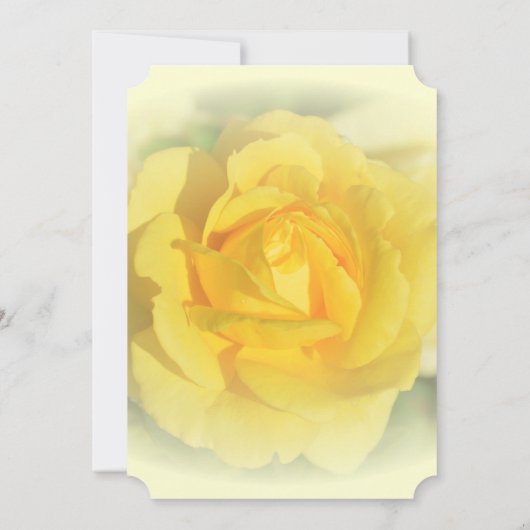 Gelbe Rose Einladung (Rückseite)