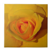 Gelbe Rose Fliese (Vorderseite)