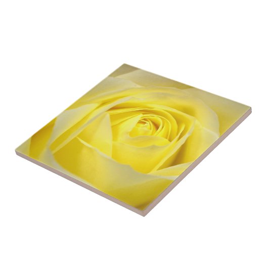 Gelbe Rose Fliese (Seite)