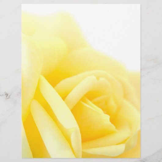 Gelbe Rose Flyer (Vorne)