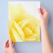 Gelbe Rose Flyer (Hand)