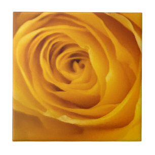 Gelbe Rose Foto Tile Fliese