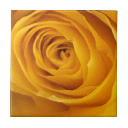 Gelbe Rose Foto Tile Fliese (Vorderseite)