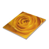 Gelbe Rose Foto Tile Fliese (Seite)