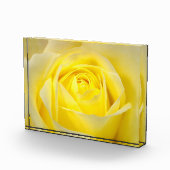 Gelbe Rose Fotoblock (Rechts)