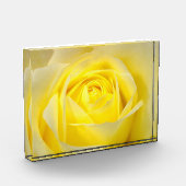 Gelbe Rose Fotoblock (Links)