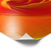 Gelbe Rose Fotodruck (Ecke)