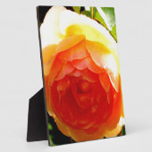 Gelbe Rose Fotoplatte (Seite)