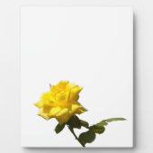 Gelbe Rose Fotoplatte (Vorderseite)