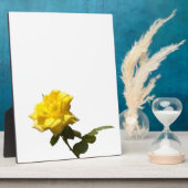 Gelbe Rose Fotoplatte (Seite)