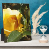 Gelbe Rose Fotoplatte (Seite)