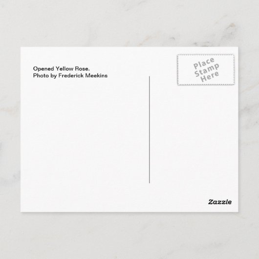 Gelbe Rose geöffnet Postkarte (Rückseite)