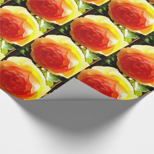 Gelbe Rose Geschenkpapier (Ecke)