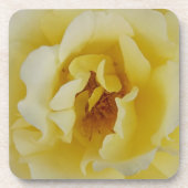 Gelbe Rose Getränkeuntersetzer (Vorderseite)