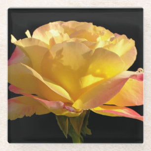 Gelbe Rose Glasuntersetzer
