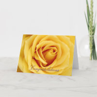 Gelbe Rose, Glückwünsche