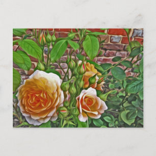Gelbe Rose in Hampton Court Garden Postkarte