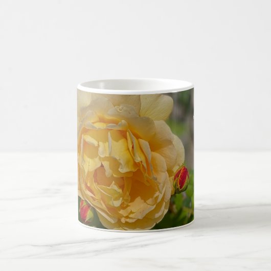 Gelbe Rose Kaffeetasse (Mittel)