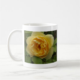 Gelbe Rose Kaffeetasse