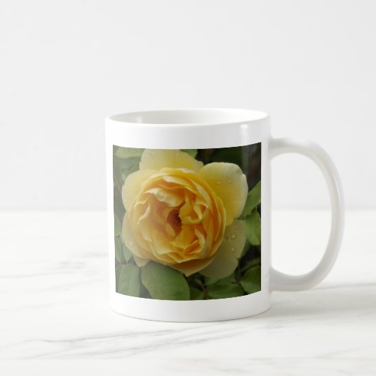 Gelbe Rose Kaffeetasse (Rechts)