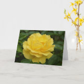Gelbe Rose Karte (Gelbe Blume)