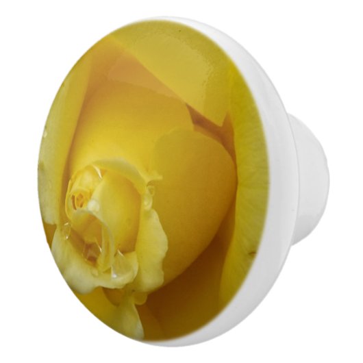 Gelbe Rose Keramik Pull Keramikknauf (Rechts)