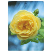Gelbe Rose Klemmbrett (Rückseite)