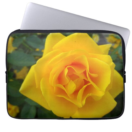 Gelbe Rose Laptopschutzhülle (Vorderseite)