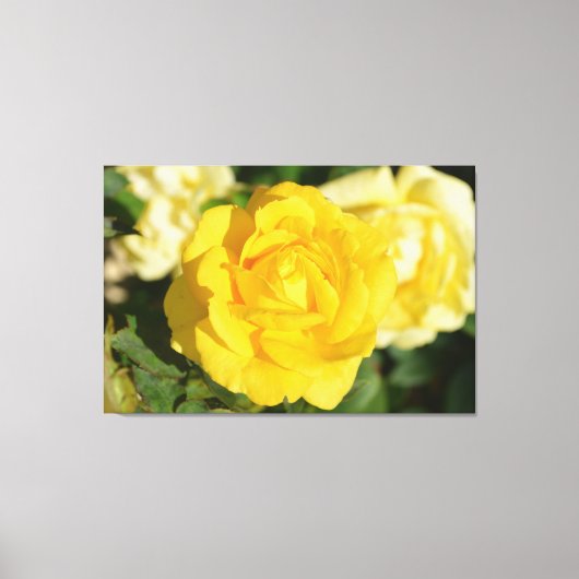 Gelbe Rose Leinwanddruck (Vorderseite)